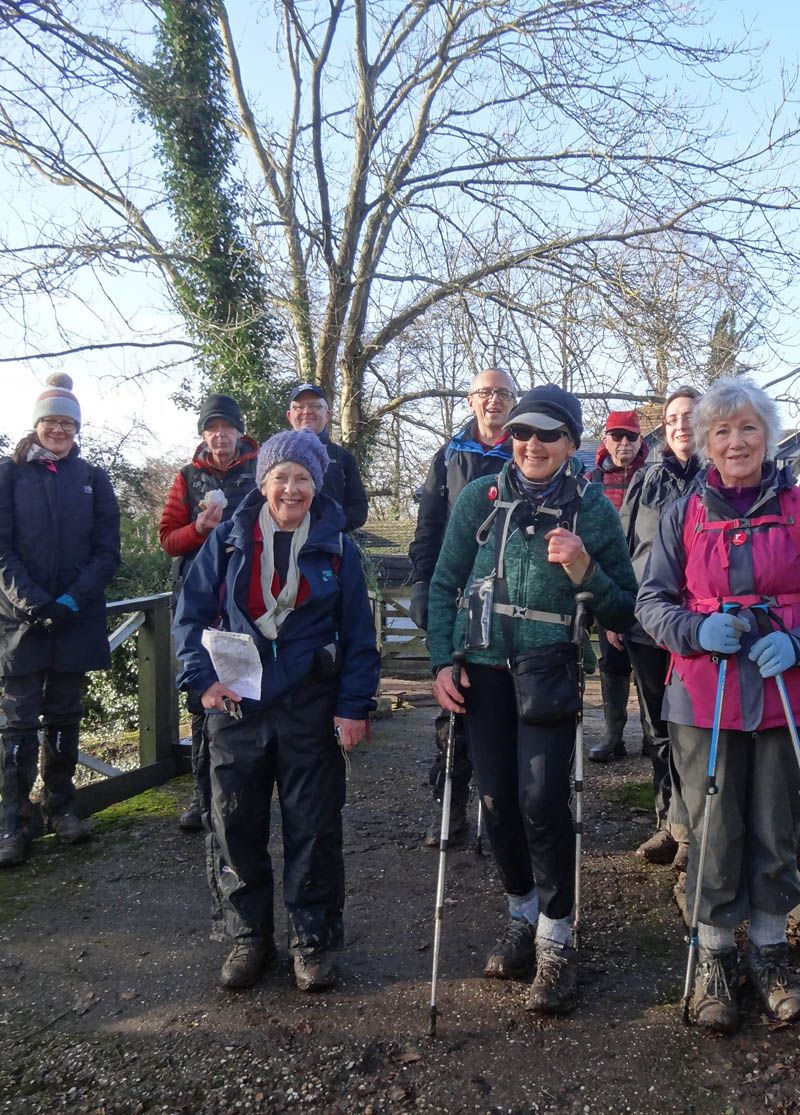 Group of walkers